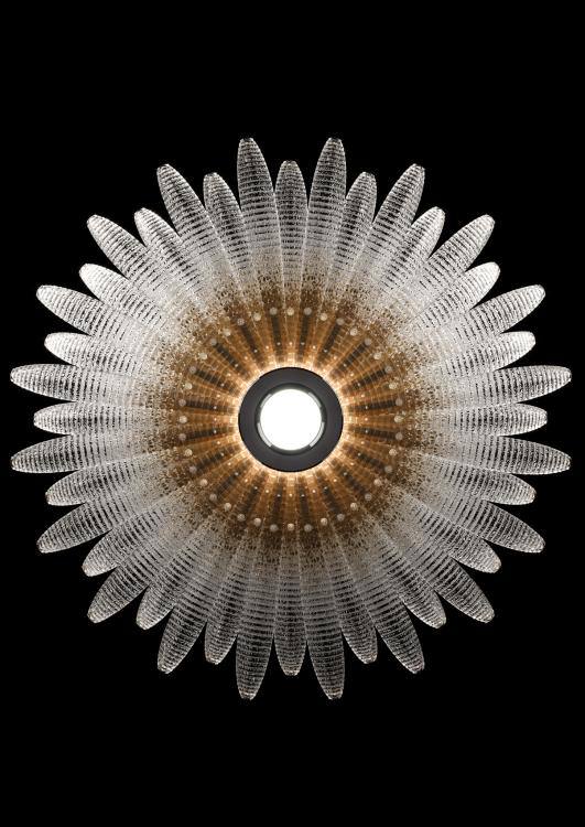 test 56 IMG 20251016 130700 294 3